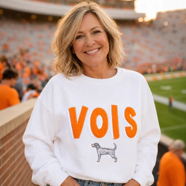 Orange Team Spirit Appliqué Sweatshirt – Embroidered Hound Dog Game Day Side Bow Sweatshirt | Game Day Wear