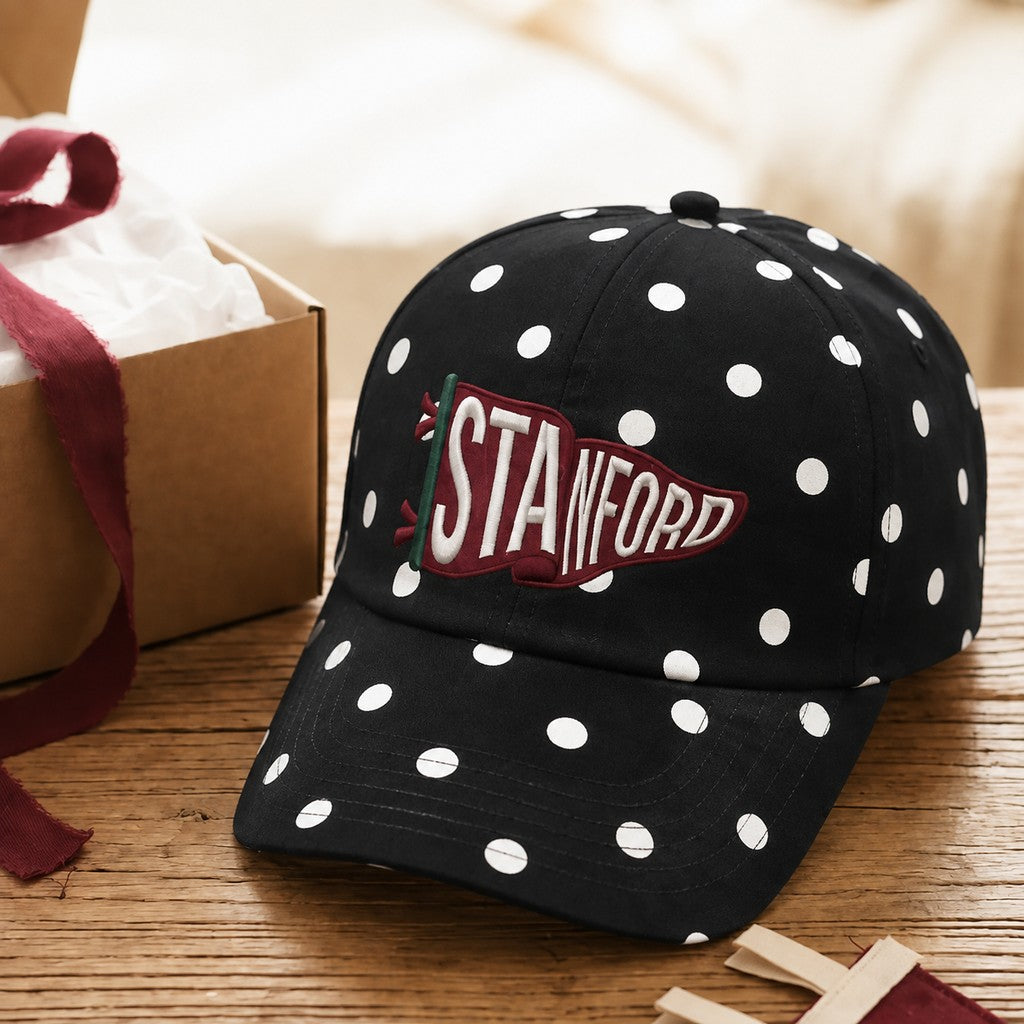 Custom Embroidered Polka Dot Gameday Pennant Hat – Vintage University Football Cap, Personalized School Spirit Gift | Game Day Wear