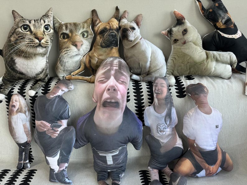 Personalized Custom Ugly Pet Pillow 3D Pet Face Portrait Throw Pillow