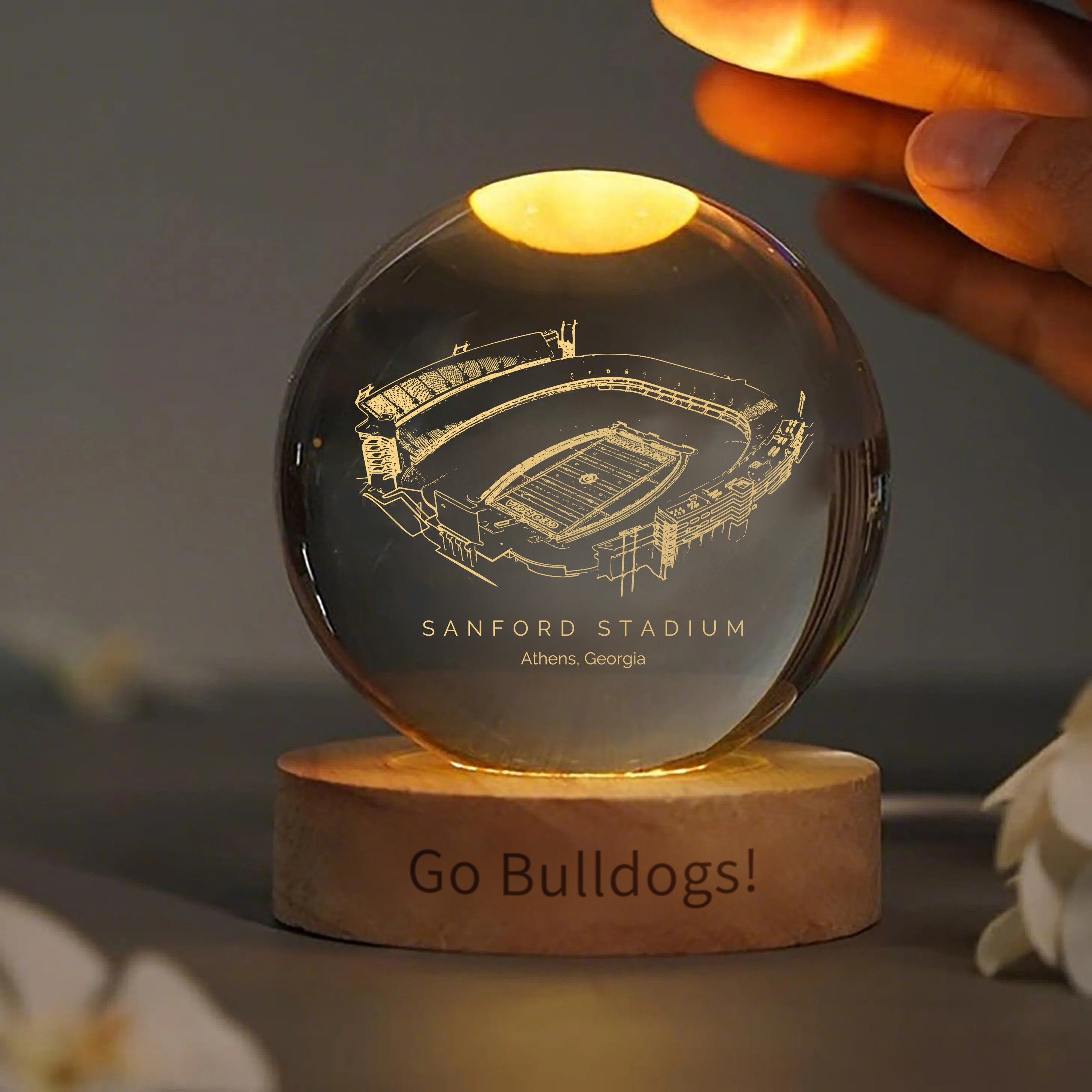 Sanford Stadium 3D Spherical Crystal Ball Lamp | Game Day, Christmas for Sports Fans