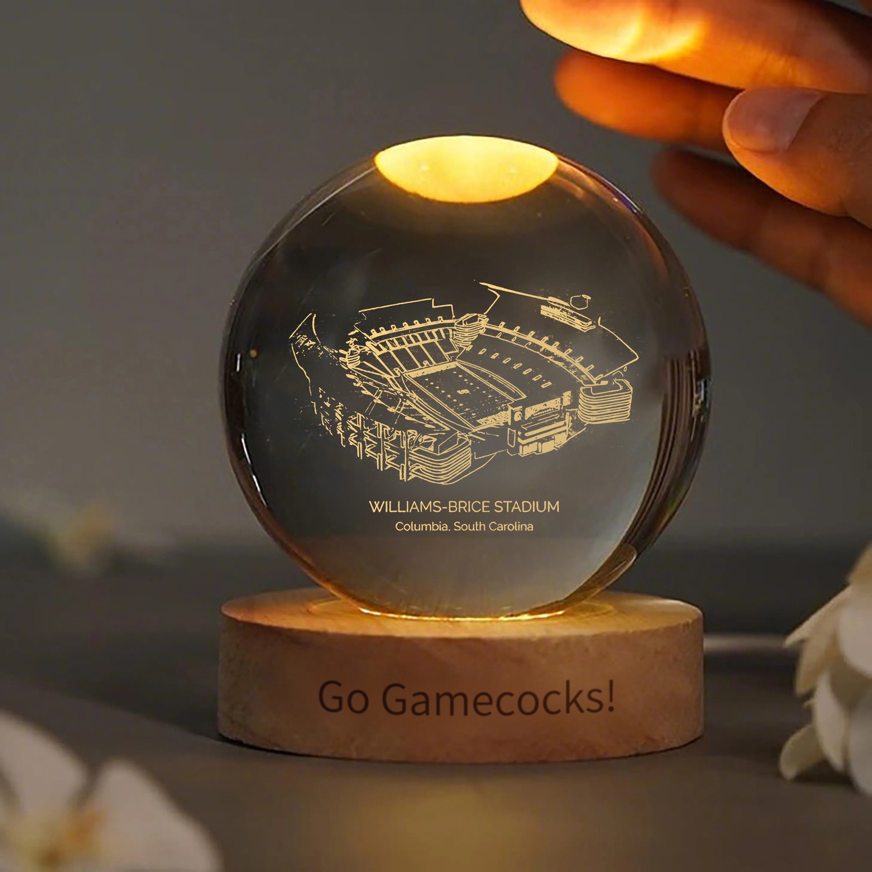 Williams-Brice Stadium 3D Spherical Crystal Ball Lamp | Game Day, Christmas for Sports Fans