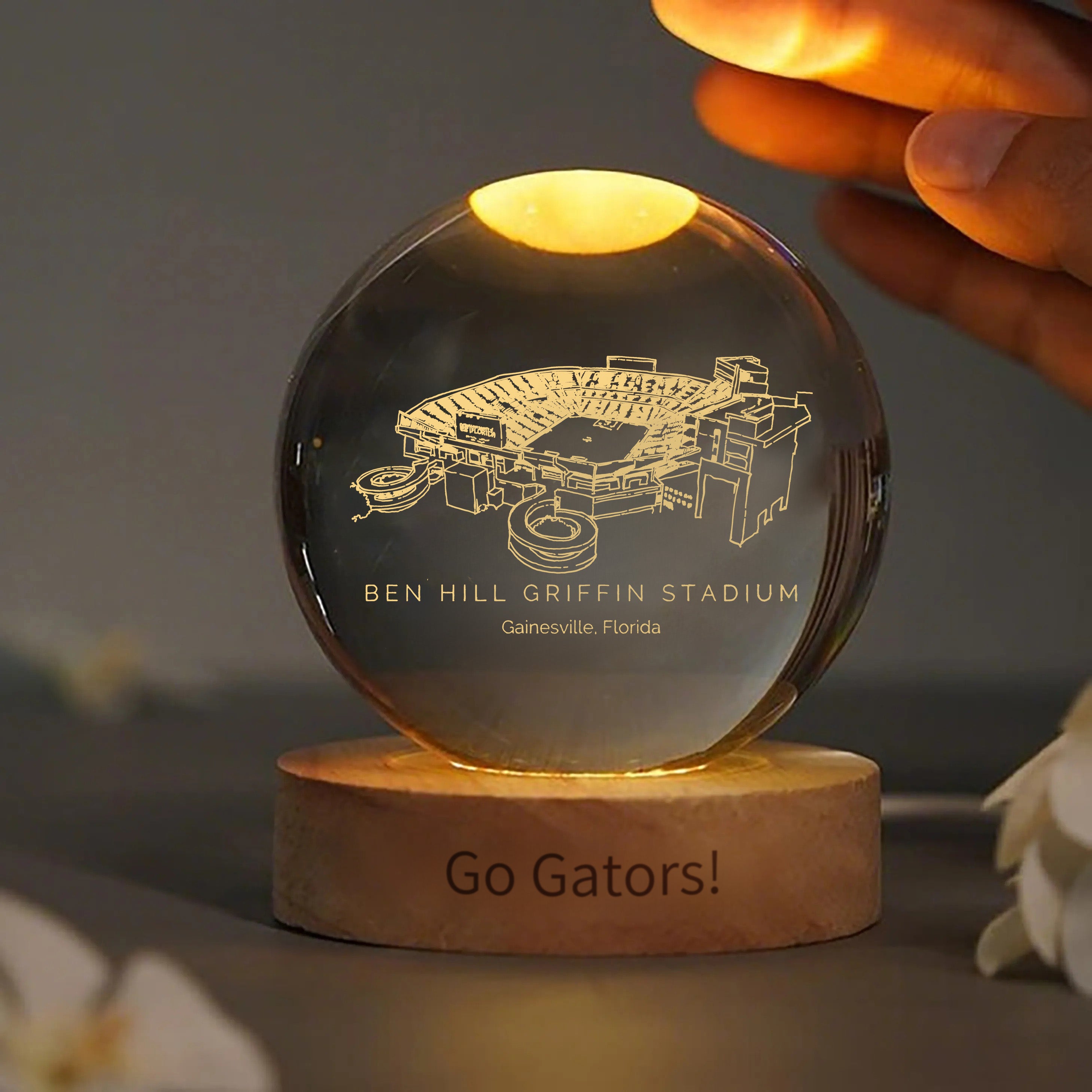 Ben Hill Stadium 3D Spherical Crystal Ball Lamp | Game Day, Christmas for Sports Fans
