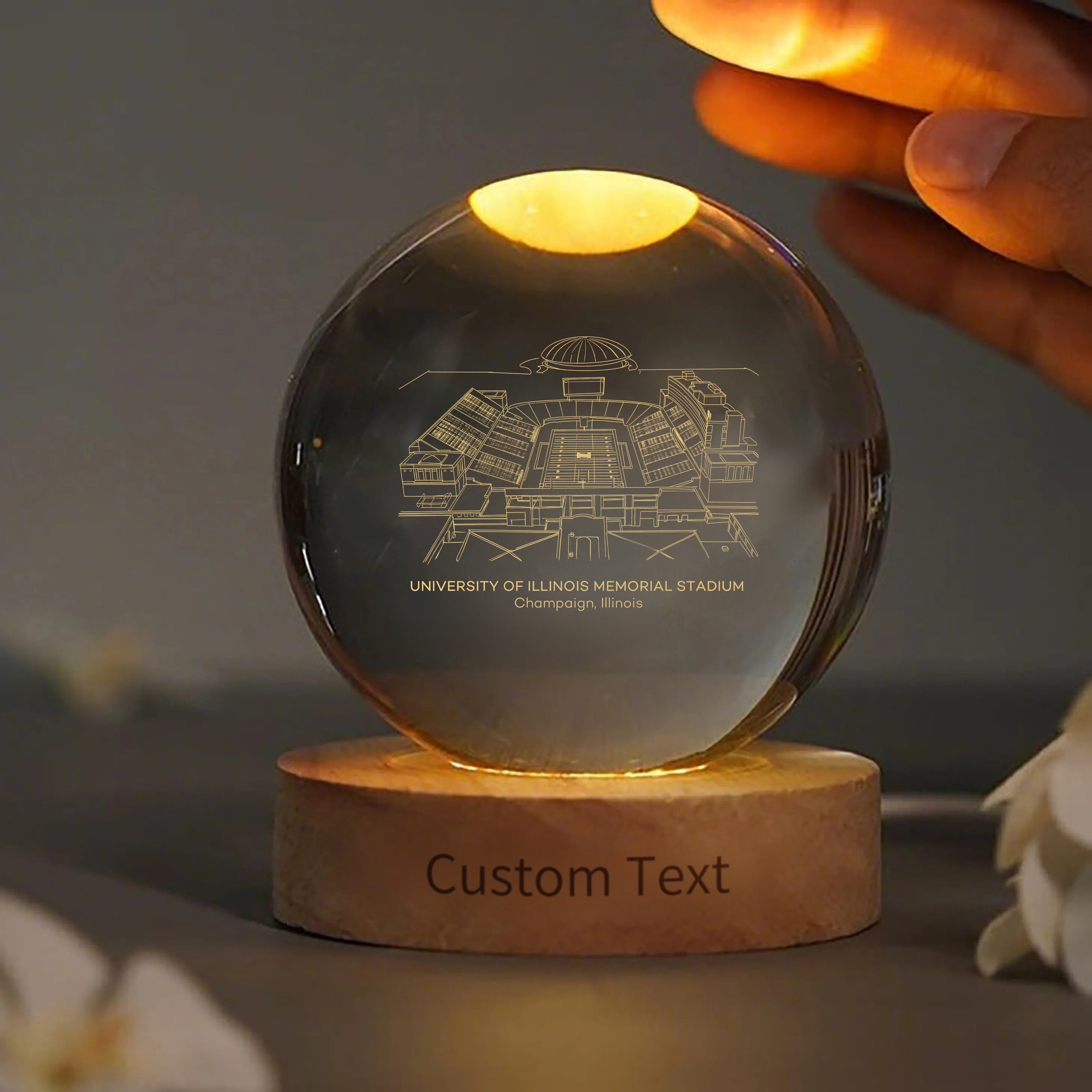 University of Illinois Memorial Stadium 3D Spherical Crystal Ball Lamp | Game Day, Christmas for Sports Fans