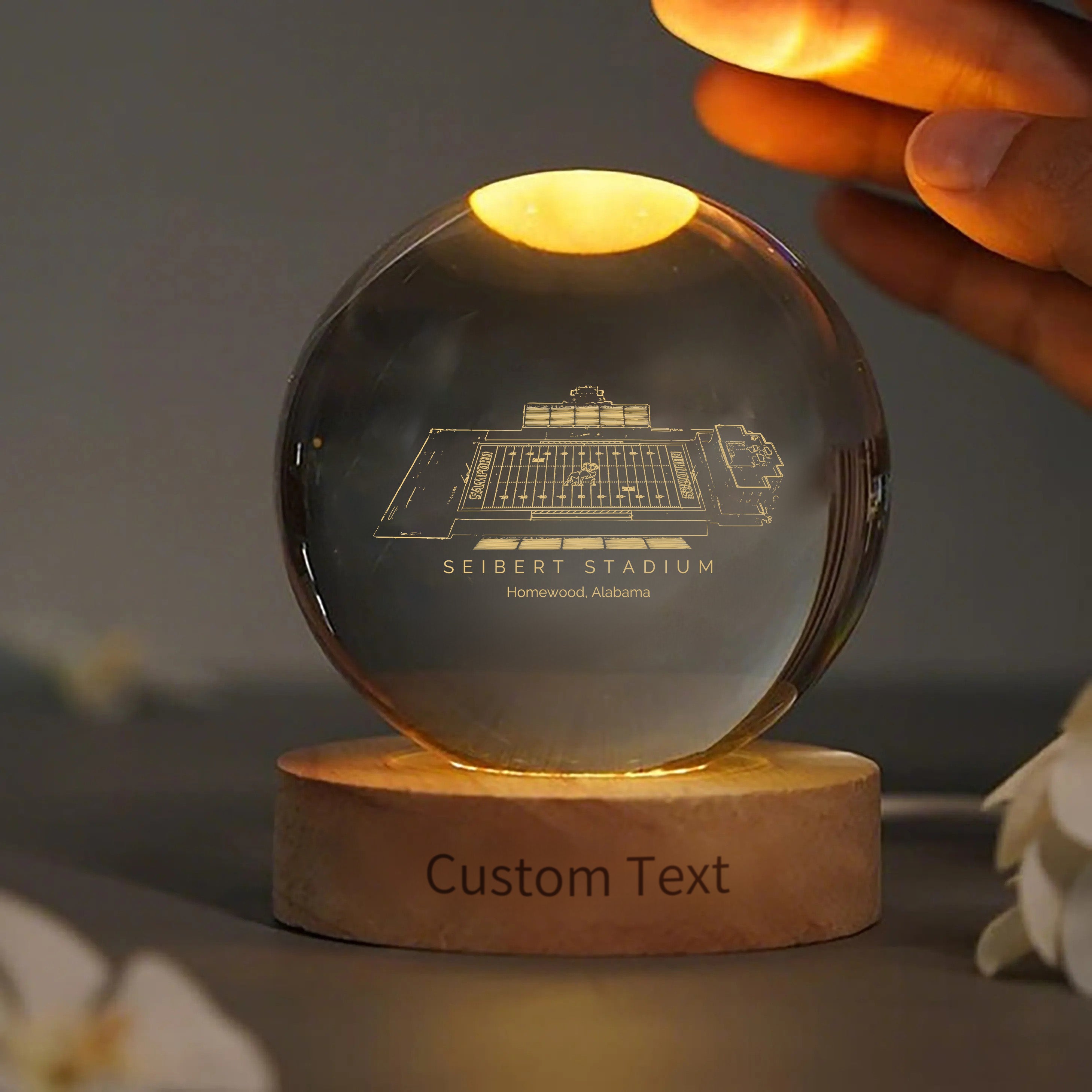 Seibert Stadium 3D Spherical Crystal Ball Lamp | Game Day, Christmas for Sports Fans