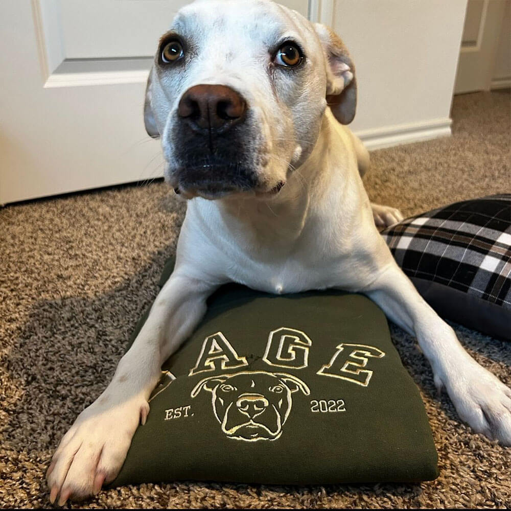 Custom Pet College Sweatshirt/Hoodie | for Pet Lovers