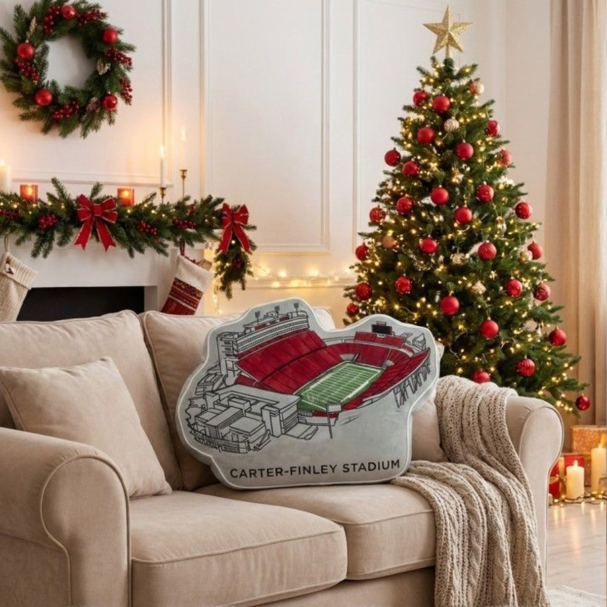 Carter-Finley Stadium Plush Pillow | Game Day, Christmas for Sports Fans