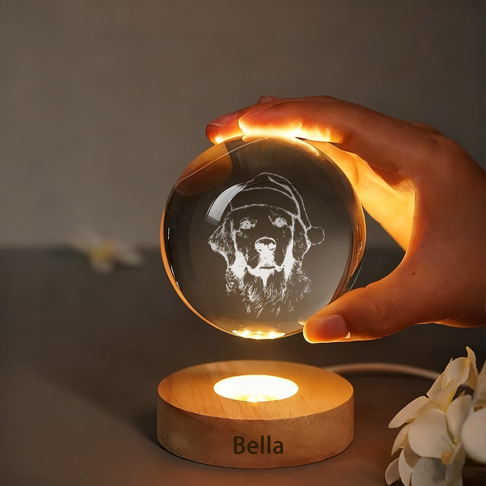 Custom Pet Photo Sketch Style Christmas Crystal Ball Lamp
