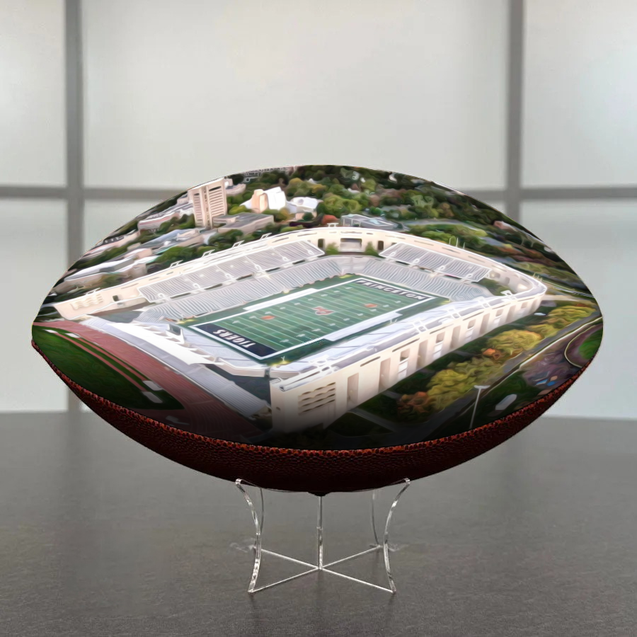 Princeton Stadium Football University Series | Custom Footballs for a College Football Fan