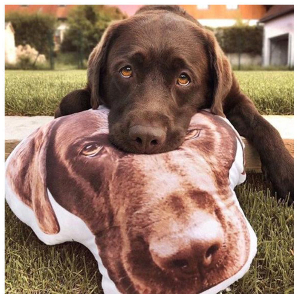 Custom Pet Pillow, Personalized Pet Shaped Pillow, Pet Lover Gift