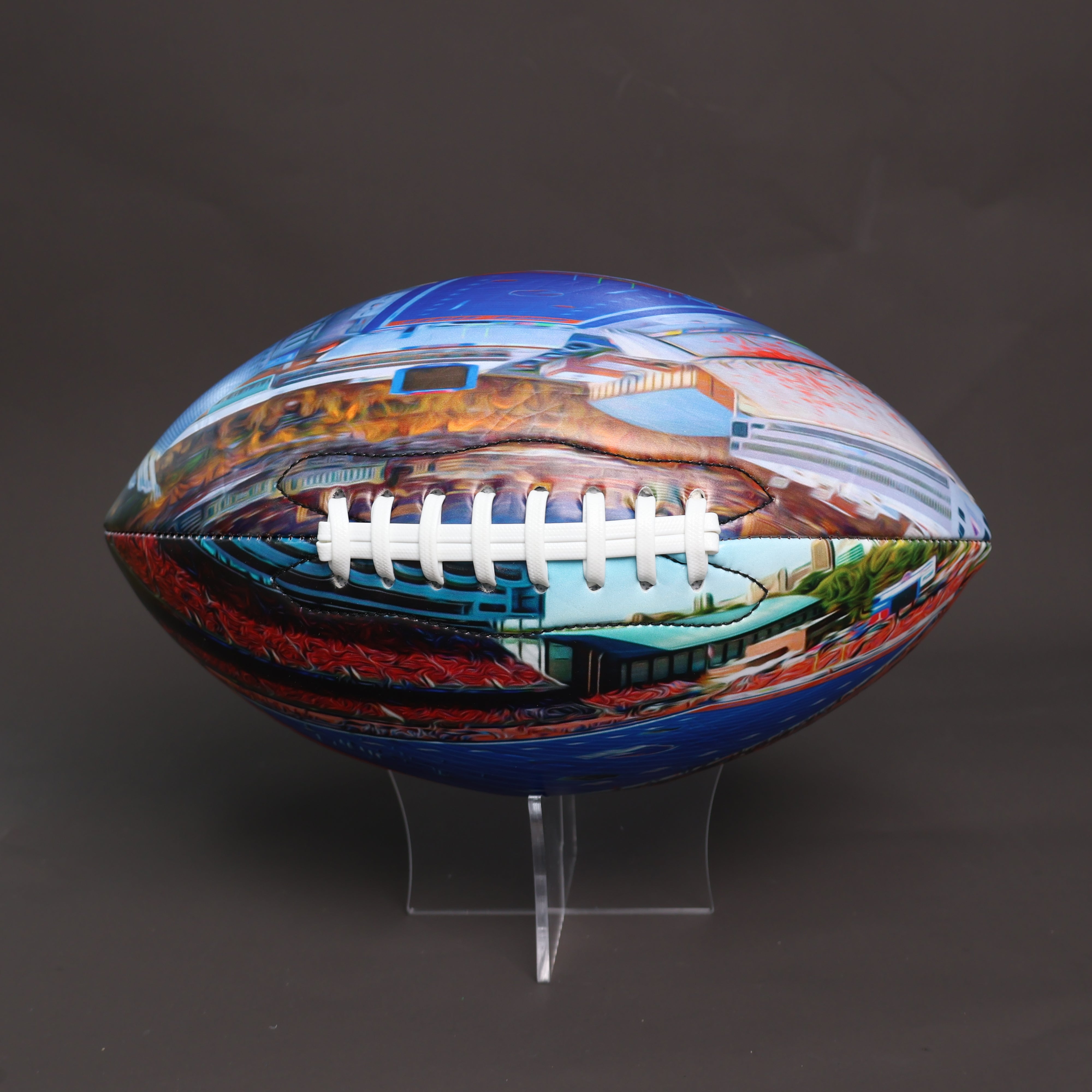 Albertsons Stadium Football University Series | Custom Footballs for a College Football Fan