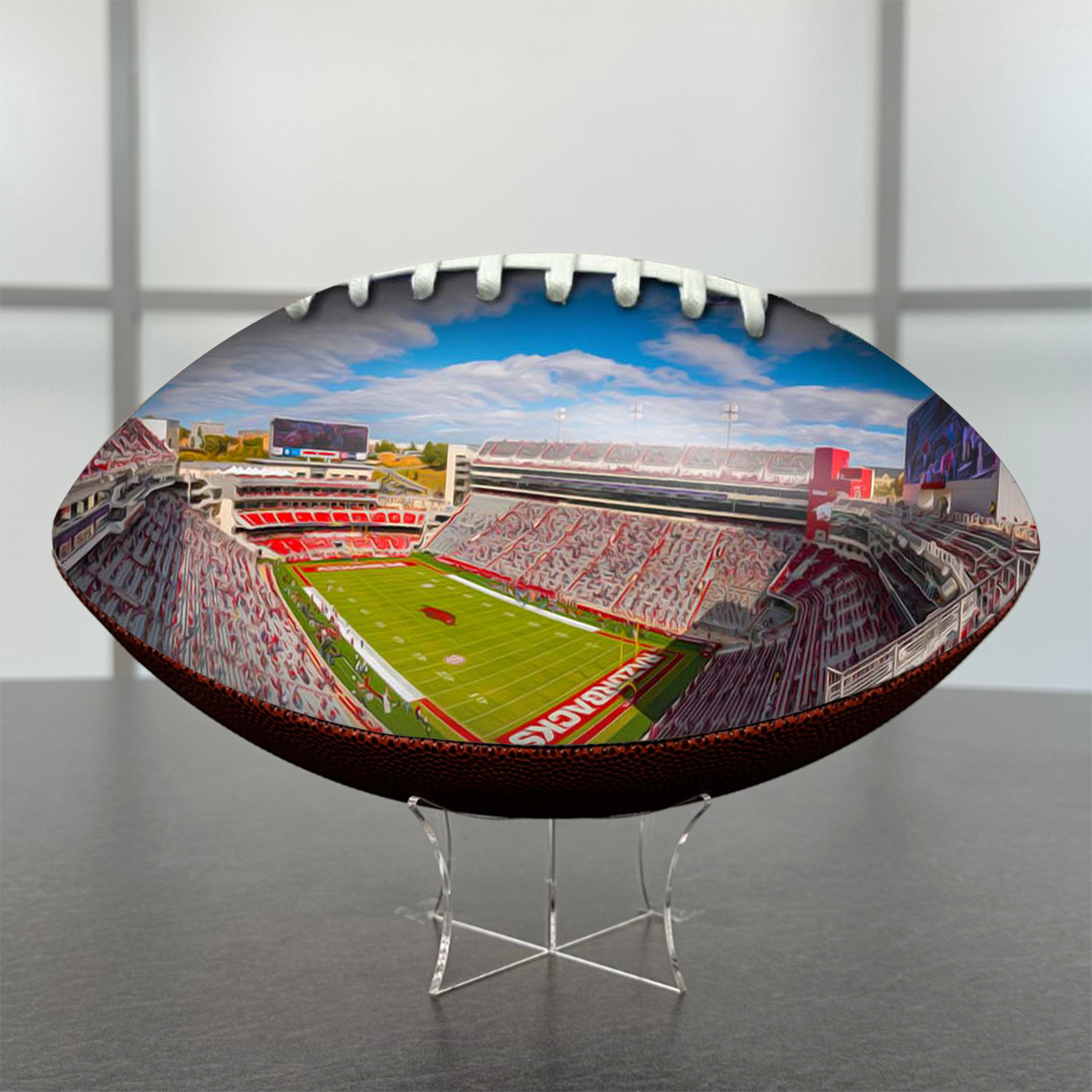 Donald W. Reynolds Razorback Stadium Football University Series (2022) | Custom Footballs for a College Football Fan