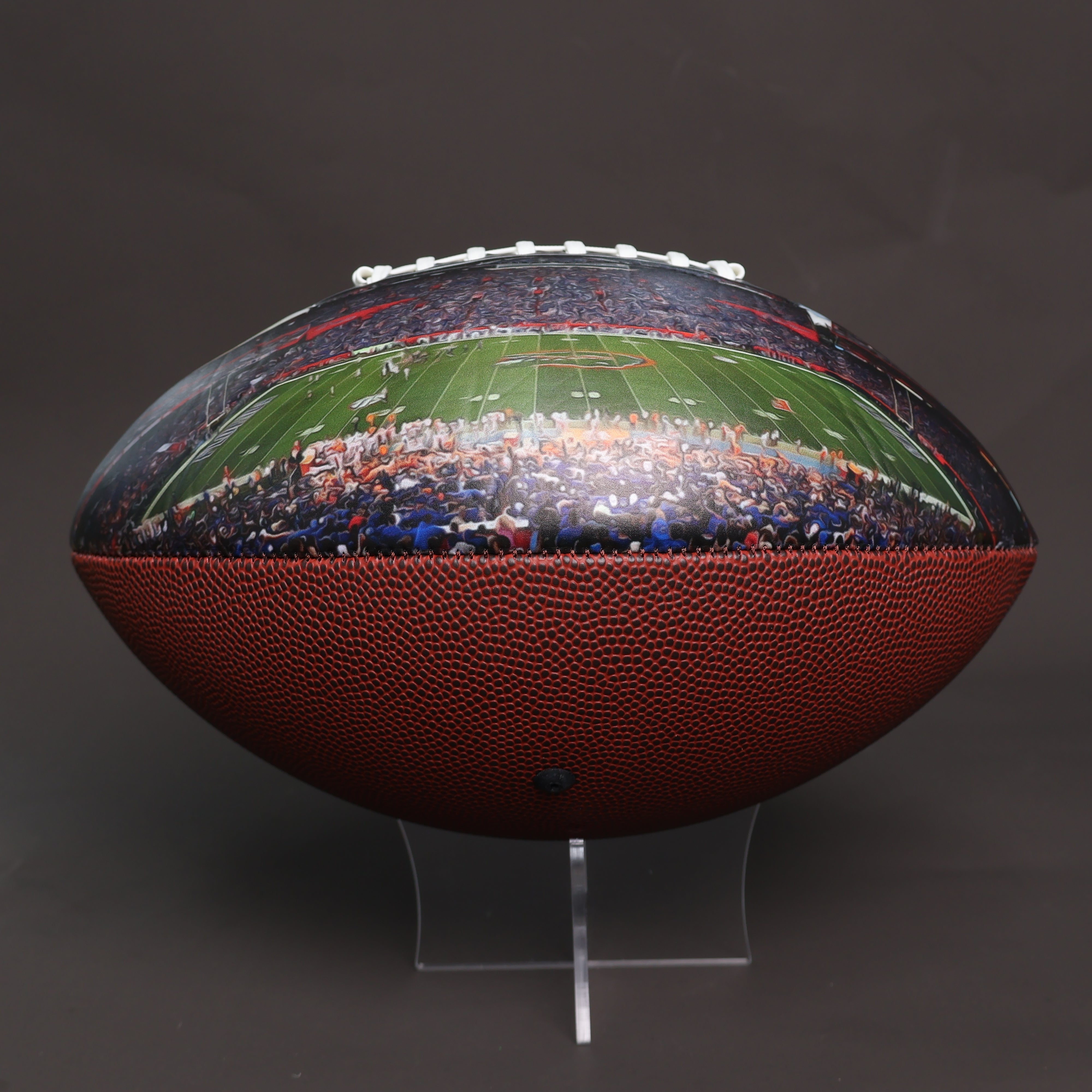 Ben Hill Griffin Stadium Football University Series(2022) | Custom Footballs for a College Football Fan