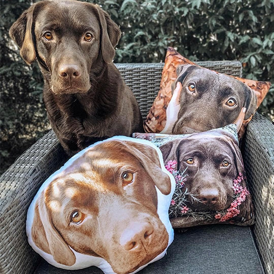Custom Dog Face Pillow, Custom Shaped Pillow, Personalized Cat Dog Cushion, For Pet Lovers