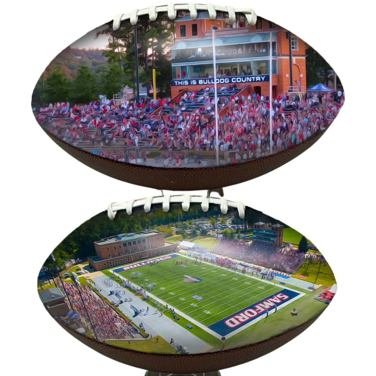 Seibert Stadium Football University Series | Custom Footballs for a College Football Fan