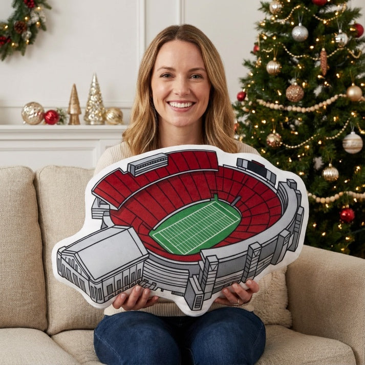 Camp Randall Stadium Plush Pillow | Game Day, Christmas for Sports Fans