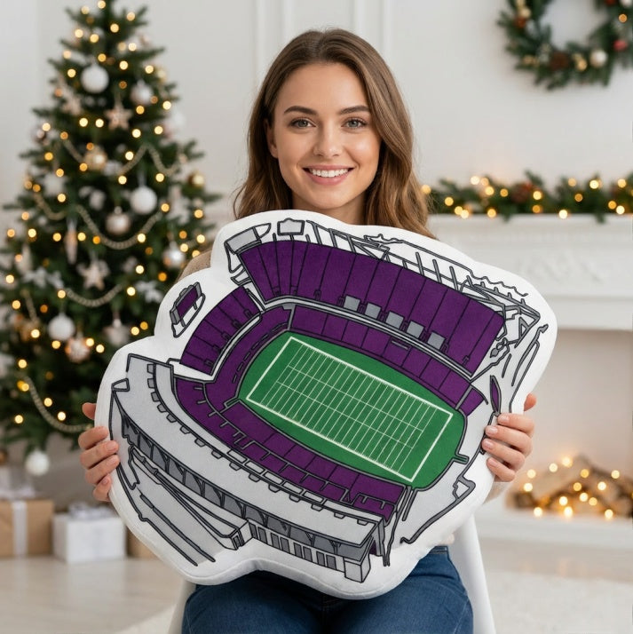 Amon G. Carter Stadium Plush Pillow | Game Day, Christmas for Sports Fans