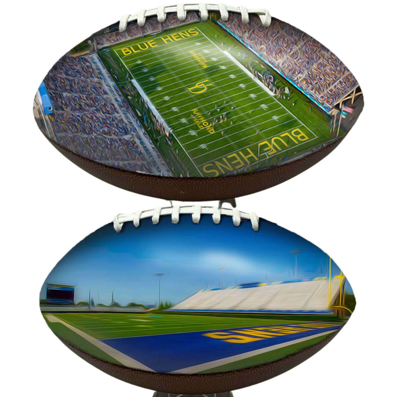 Tubby Raymond field Football University Series | Custom Footballs for a College Football Fan