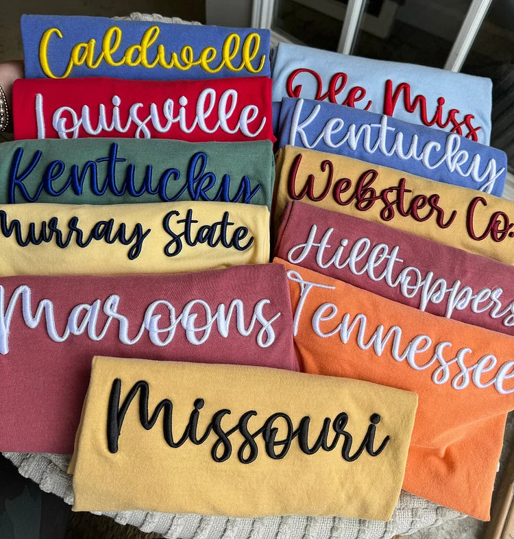 Custom 3D Embroidered Sweatshirt/T-shirt/Hoodie with any U.S. state, school or team name