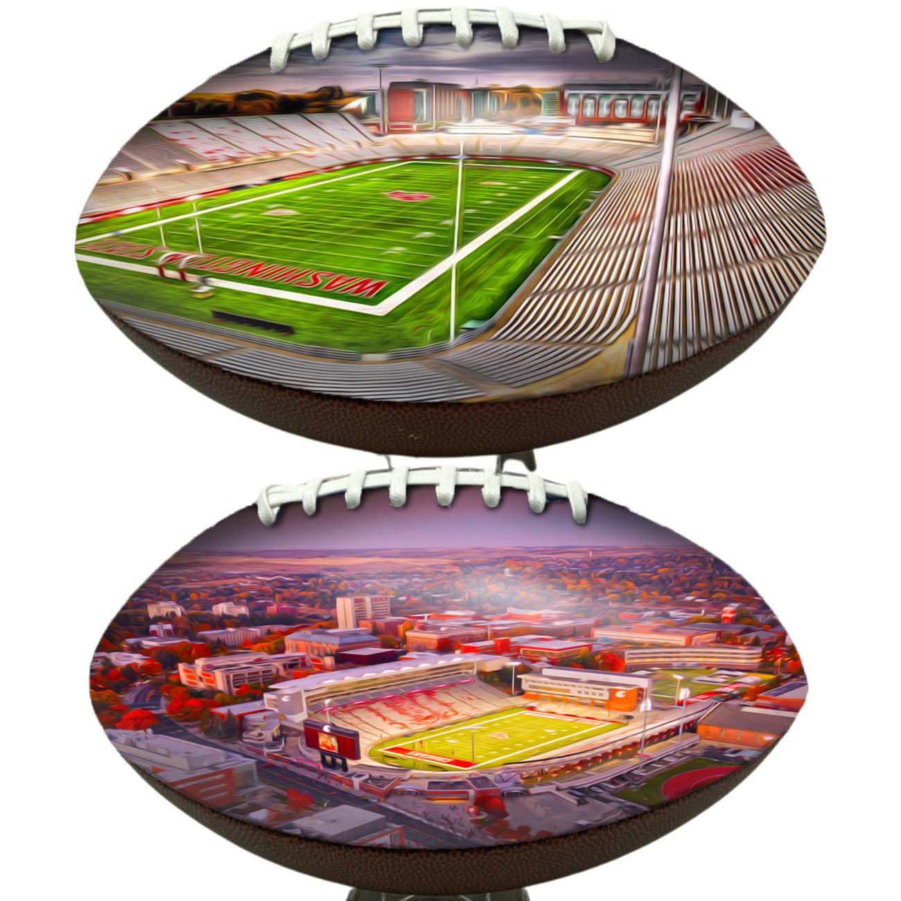 Martin Stadium Football University Series | Custom Footballs for a College Football Fan