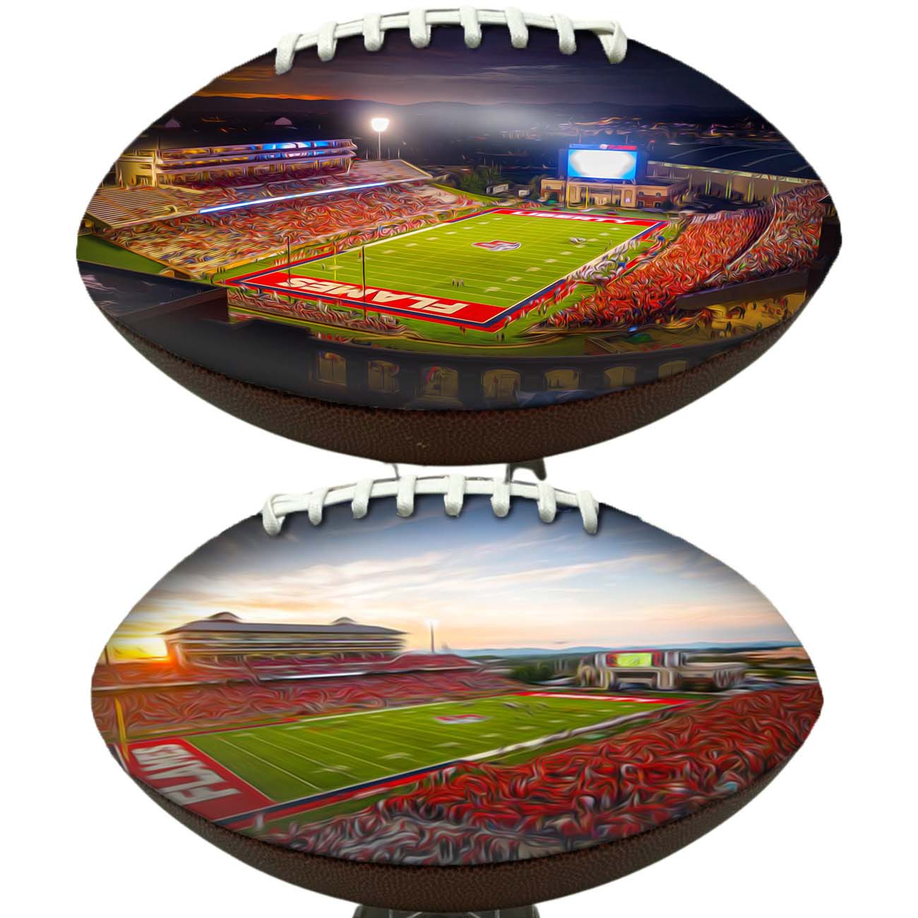 Arthur L. Williams Stadium Football University Series | Custom Footballs for a College Football Fan
