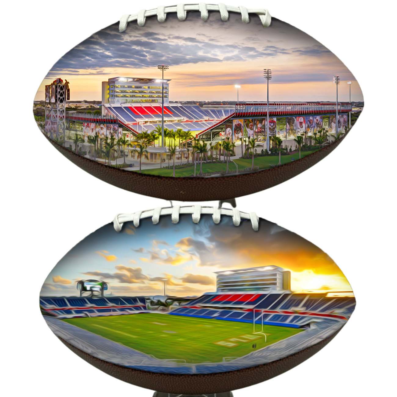 FAU Stadium Football University Series | Custom Footballs for a College Football Fan