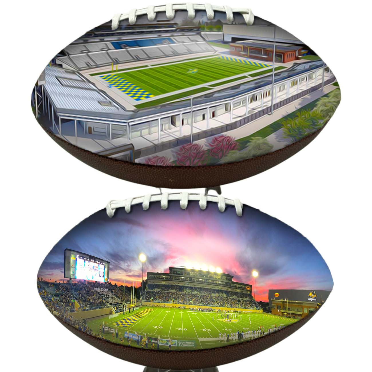 Dana J. Dykhouse Stadium Football University Series | Custom Footballs for a College Football Fan