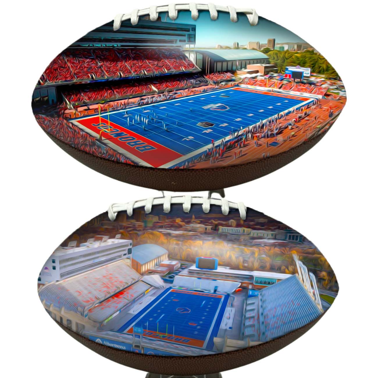 Albertsons Stadium Football University Series | Custom Footballs for a College Football Fan