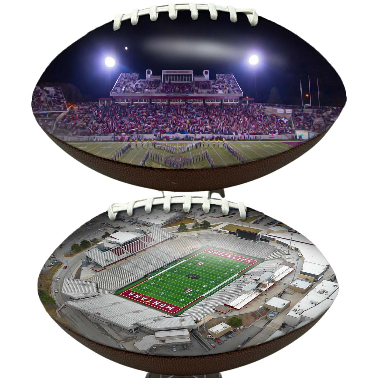 Washington-Grizzly Stadium Football University Series | Custom Footballs for a College Football Fan