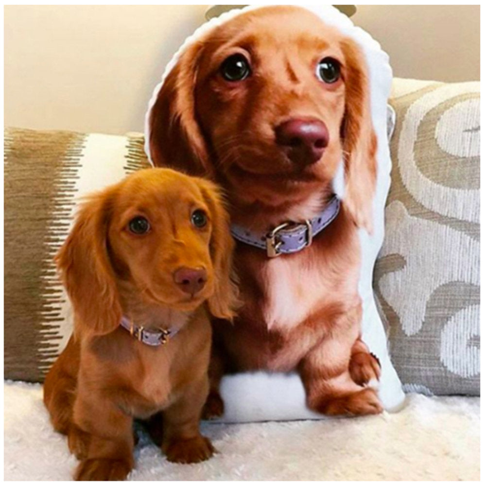 Custom Pet Pillow, Personalized Pet Shaped Pillow, Pet Lover Gift