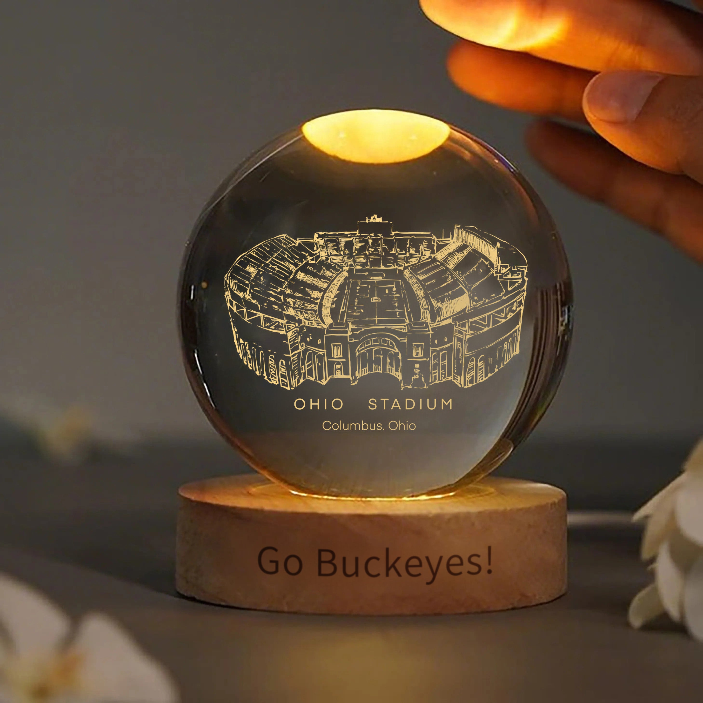 Ohio Stadium 3D Spherical Crystal Ball Lamp | Game Day, Christmas for Sports Fans