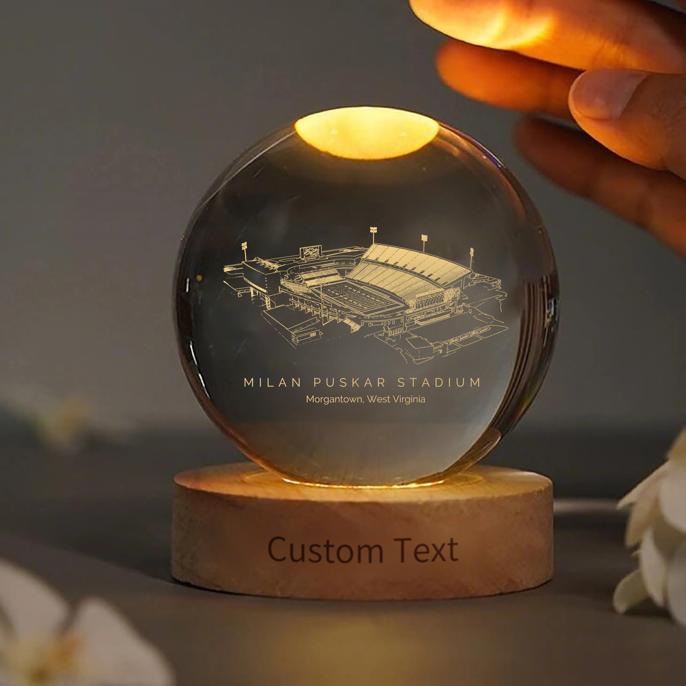 Milan Puskar Stadium 3D Spherical Crystal Ball Lamp | Game Day, Christmas for Sports Fans