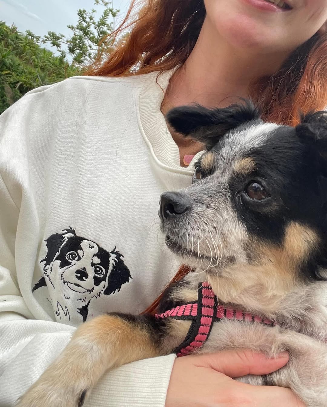 Custom Embroidered Pet Face T-shirt Personalized Dog Hoodie Embroidered With Multiple Pets