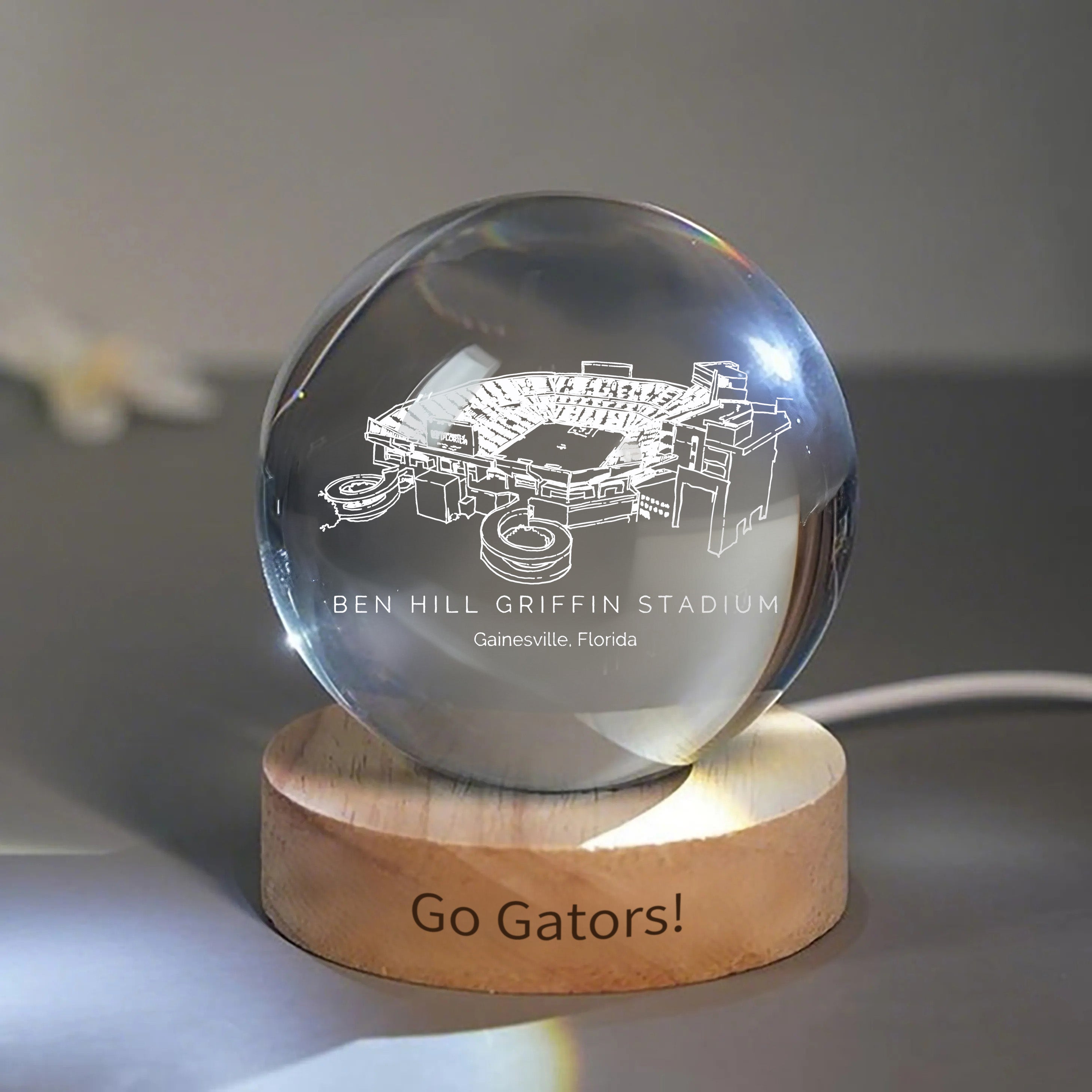 Ben Hill Stadium 3D Spherical Crystal Ball Lamp | Game Day, Christmas for Sports Fans