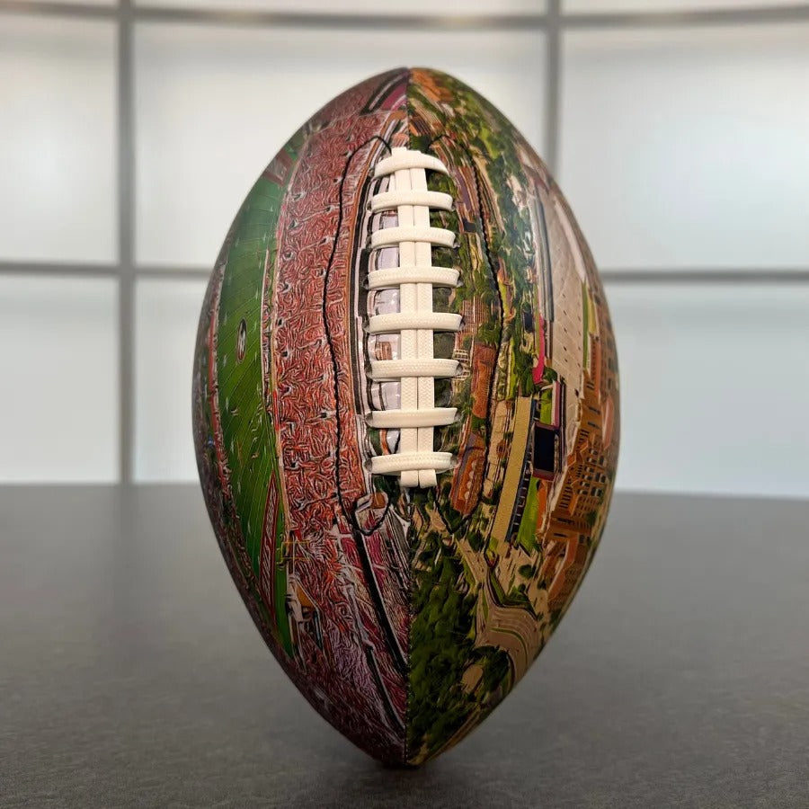 Doak Campbell Stadium University Series (NEW） | Custom Footballs for a College Football Fan