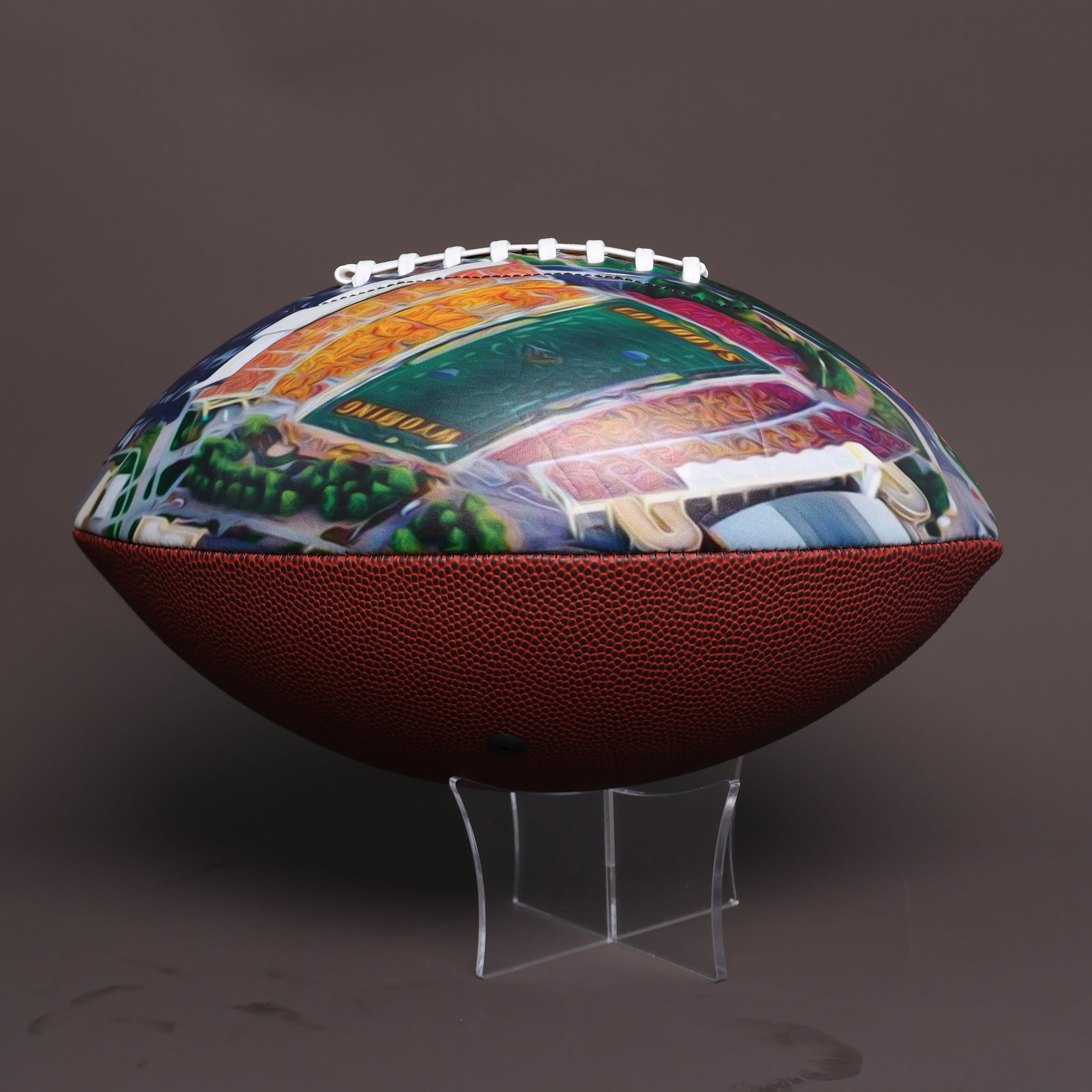 Memorial Stadium (War) Stadium Football University Series | Custom Footballs for a College Football Fan