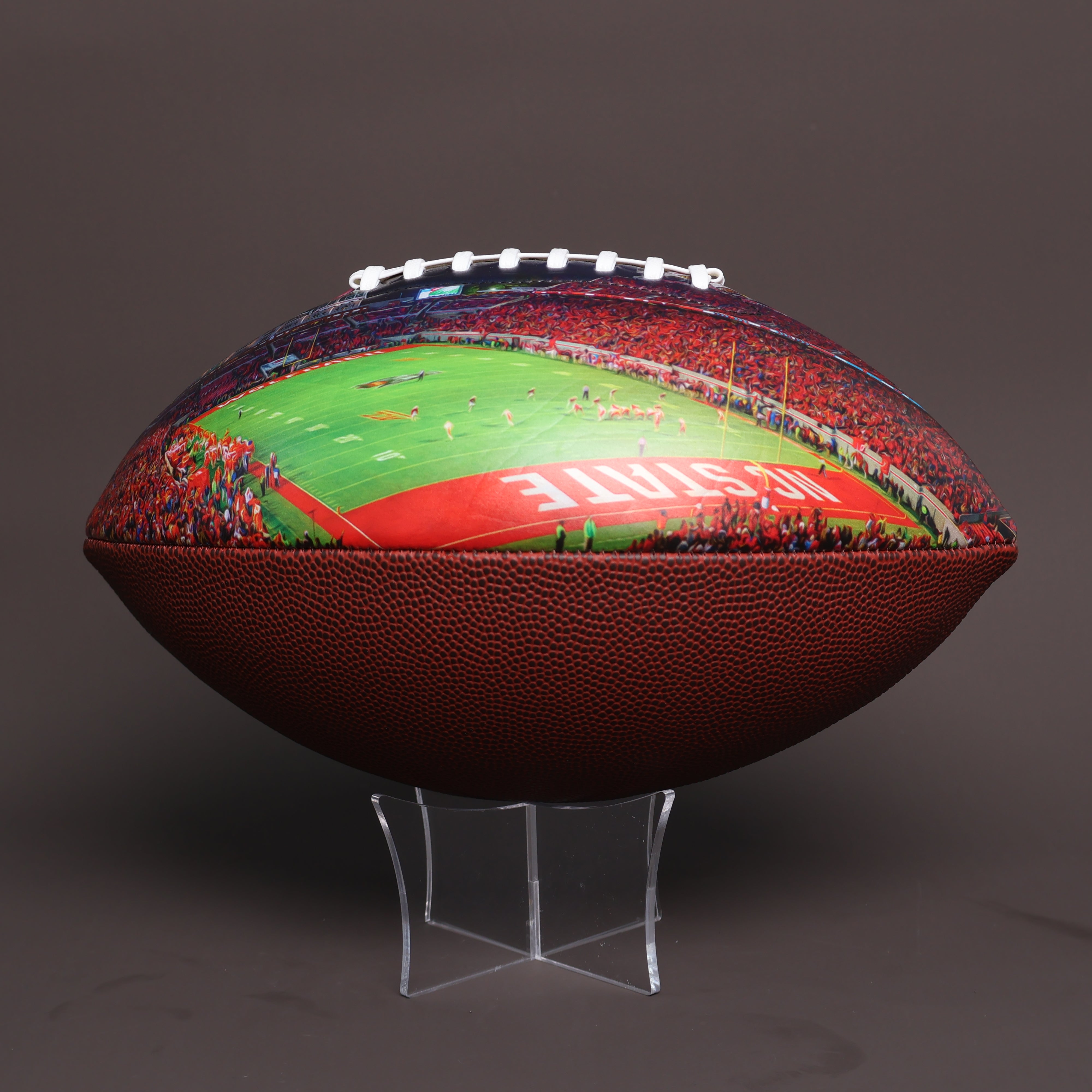 Carter-Finley Stadium Football University Series | Custom Footballs for a College Football Fan