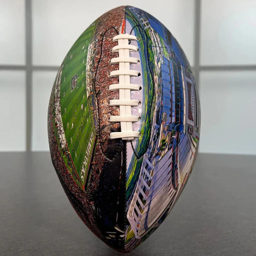Williams–Brice Stadium University Series （New） | Custom Footballs for a College Football Fan
