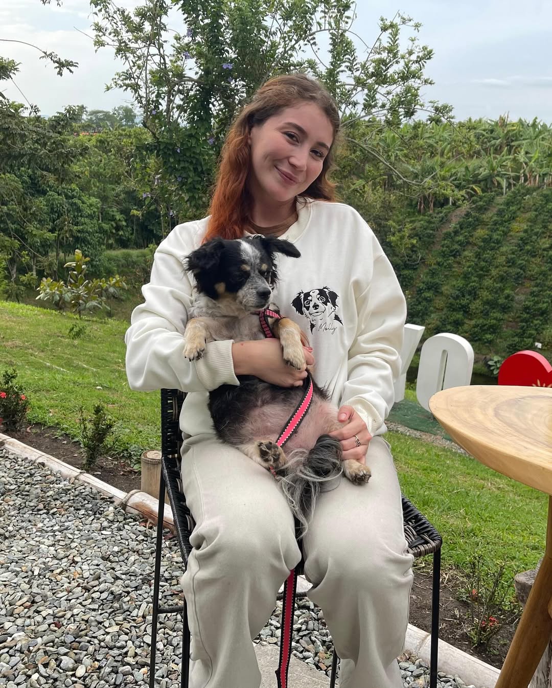 Custom Embroidered Pet Face T-shirt Personalized Dog Hoodie Embroidered With Multiple Pets