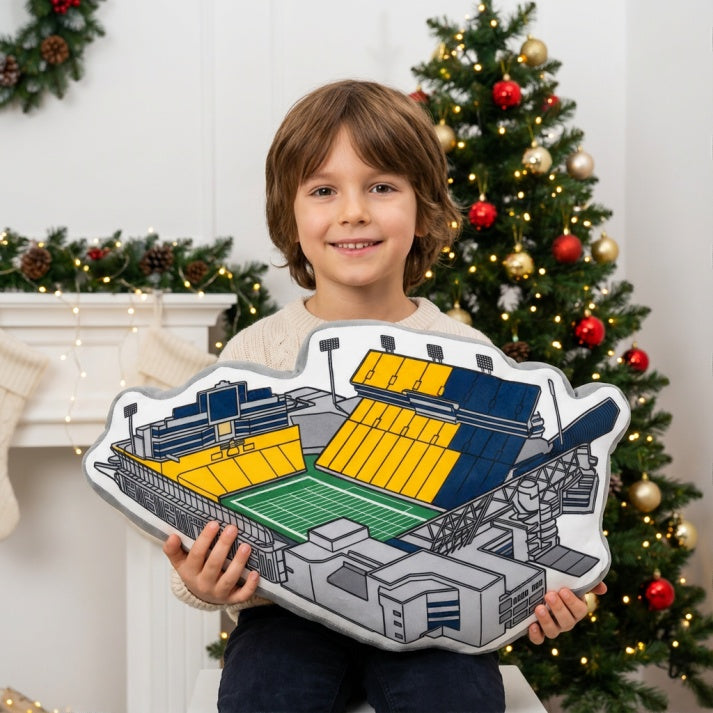 Bobby Dodd Stadium Plush Pillow | Game Day, Christmas for Sports Fans