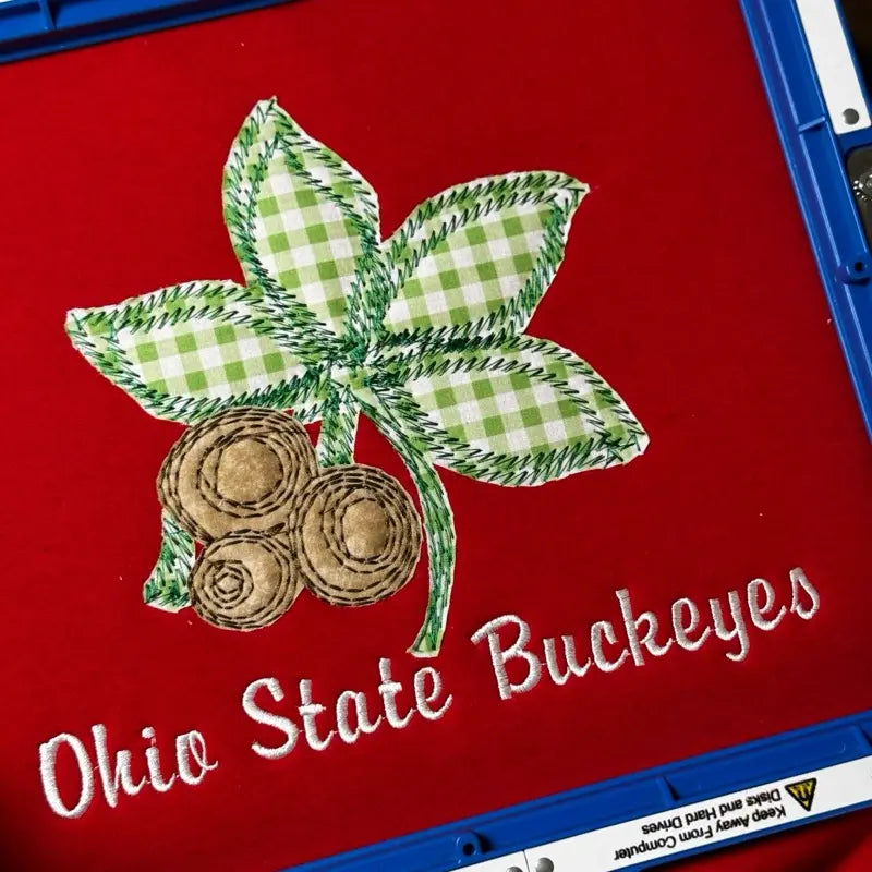 Custom  Ohio State Buckeyes Women’s Team Spirit Sweatshirt – Applique Embroidered Side Bow Pullover
