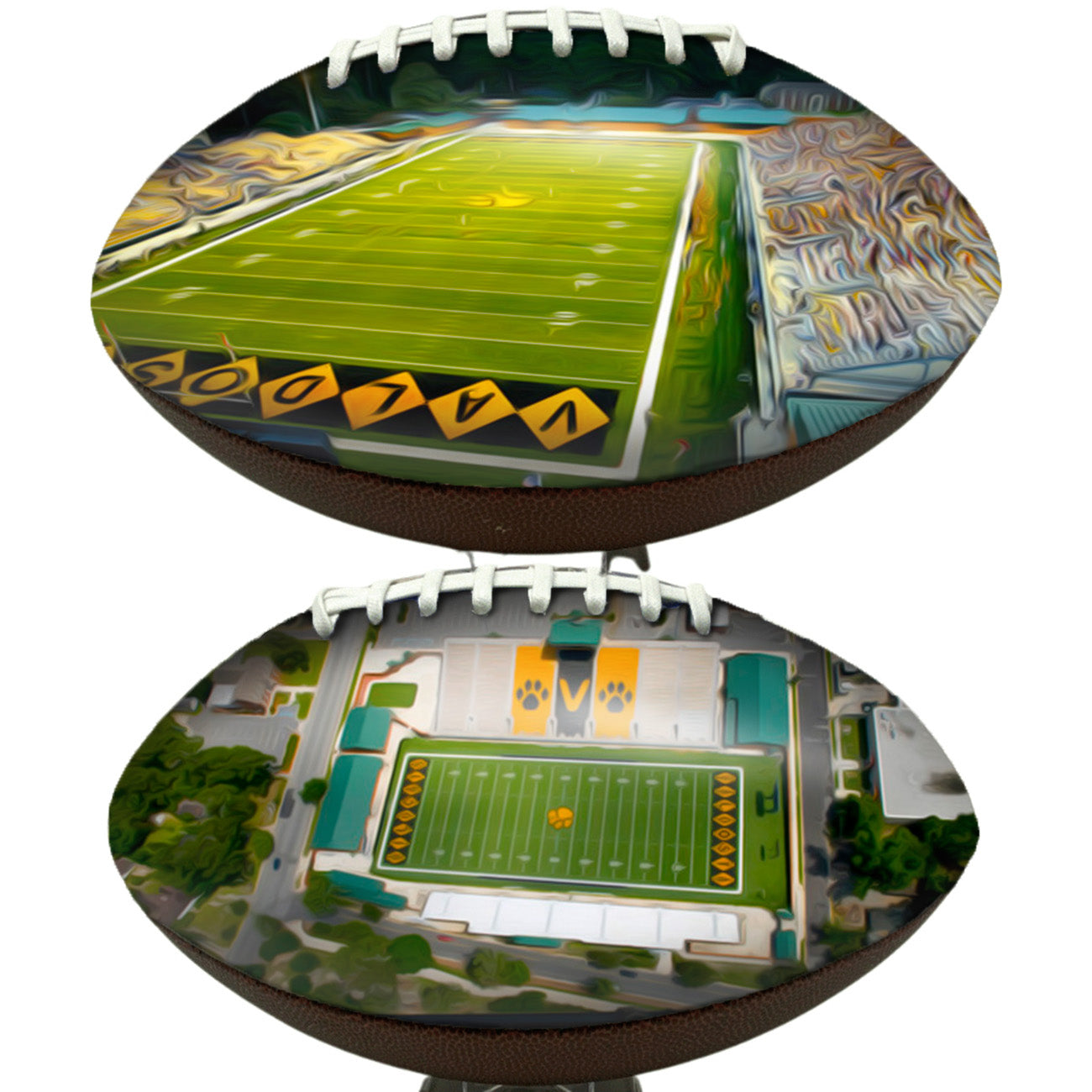 Bazemore–Hyder Stadium Football University Series | Custom Footballs for a College Football Fan