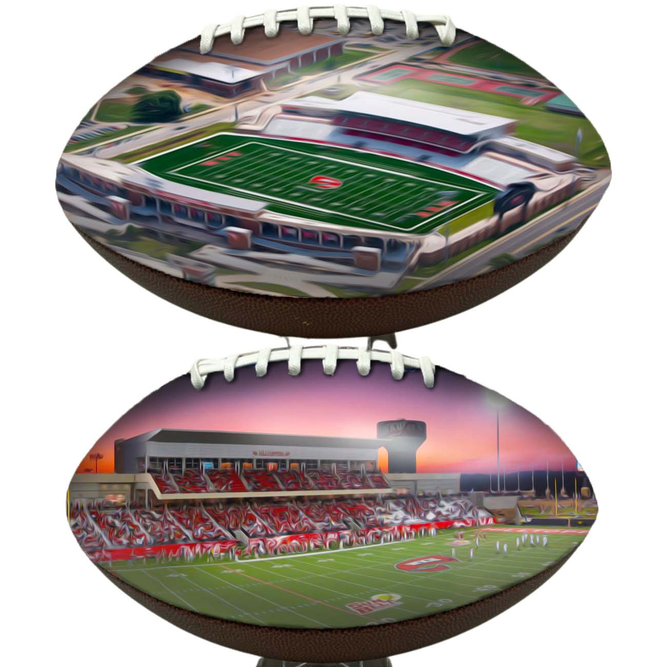 Houchens Industries L. T. Smith Stadium Football University Series | Custom Footballs for a College Football Fan