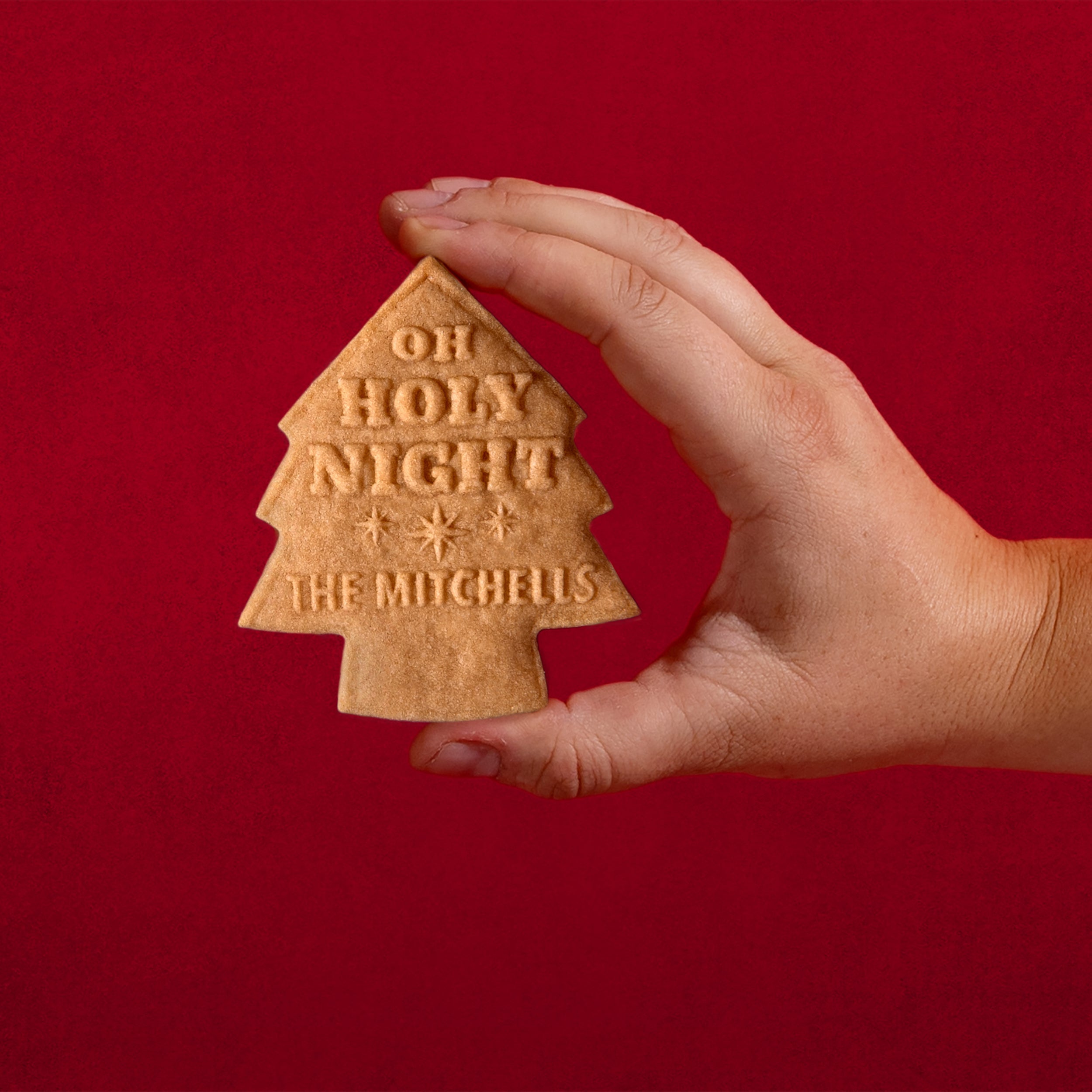 Custom Christmas Cookie Stamp | Personalized Merry Christmas Family Holiday Baking Acrylic Cookie Stamp Desgin #3